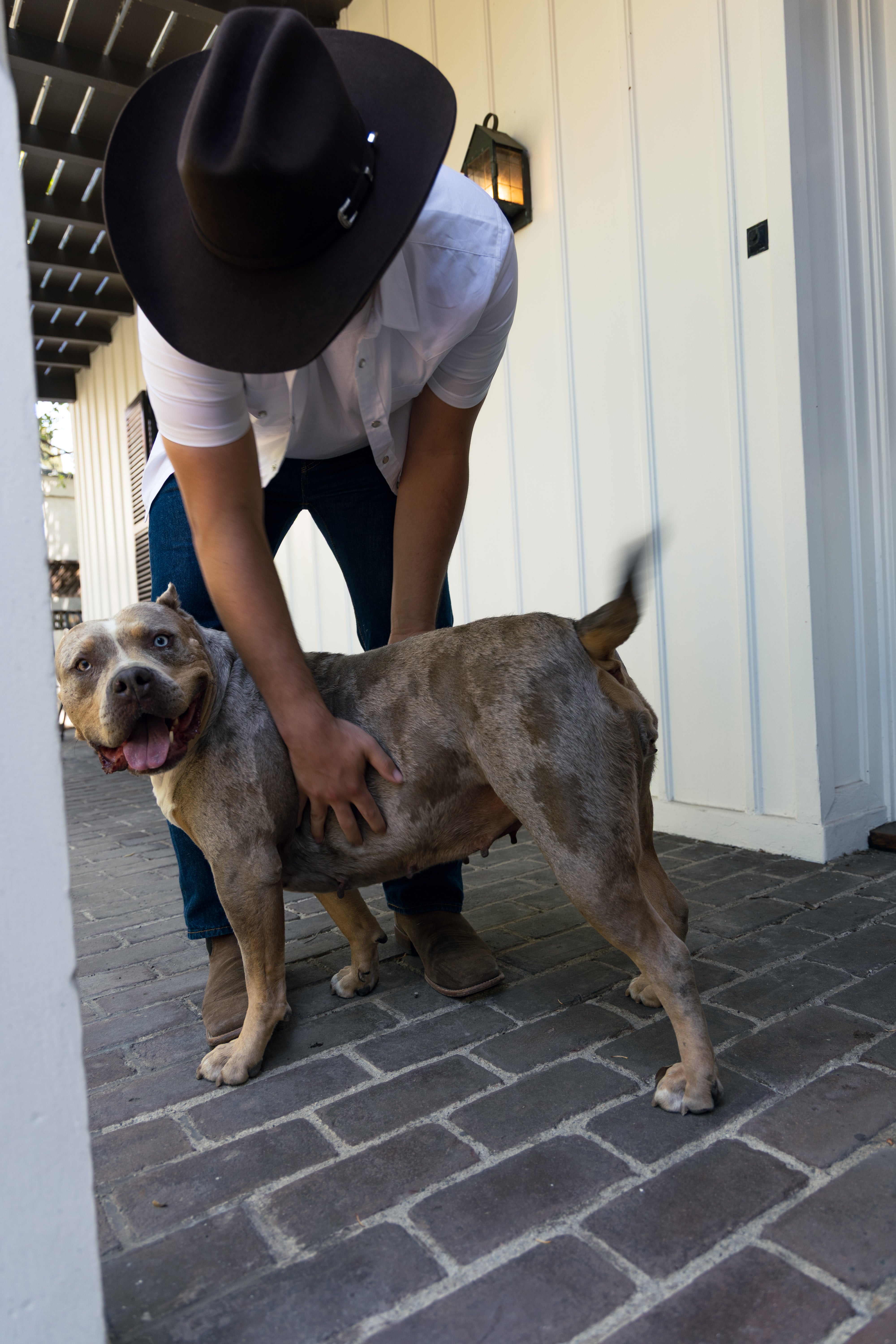 Cattleman Cowboy Men's Hat - Chocolate