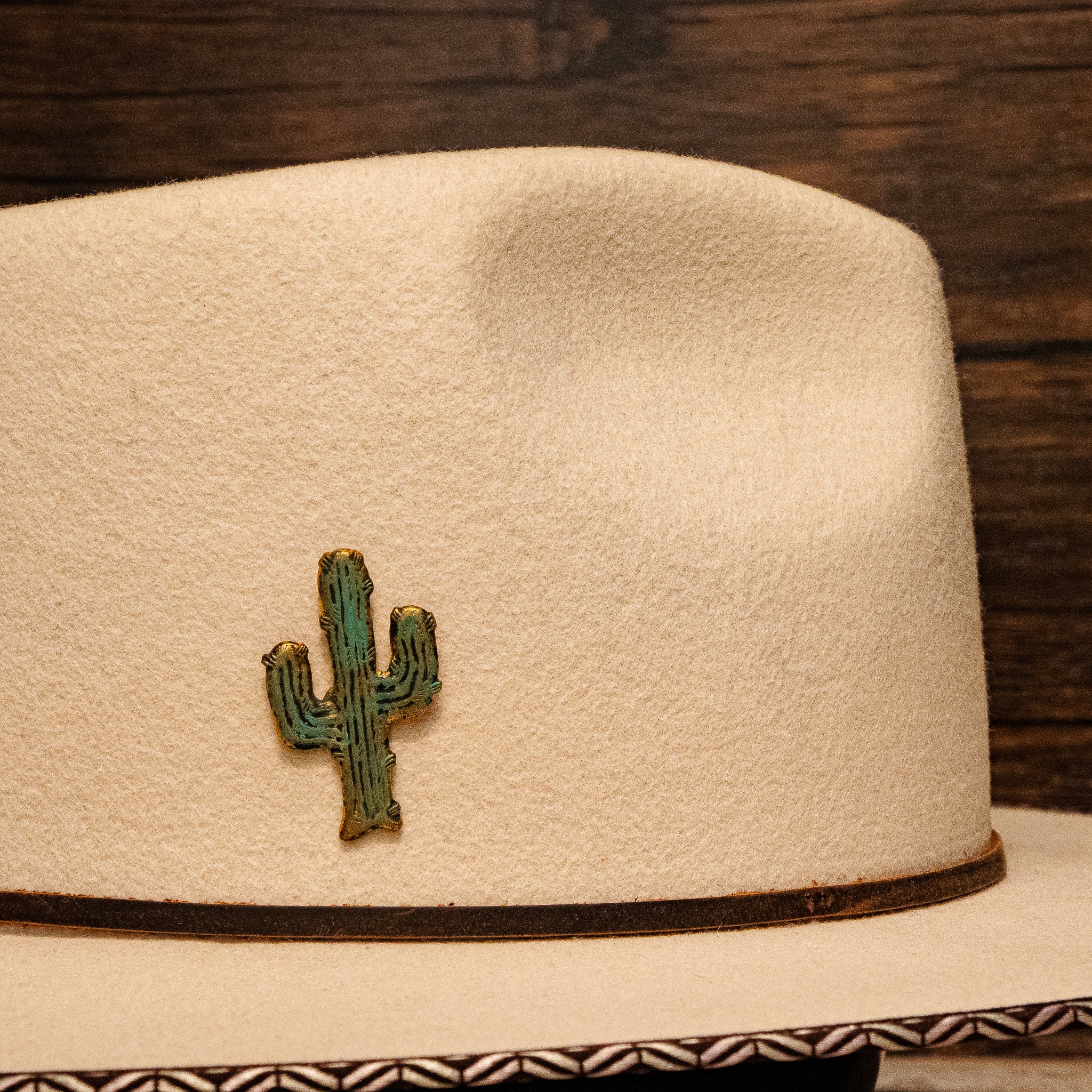 Western Turquoise Patina Aged Brass Cactus Hat Pin