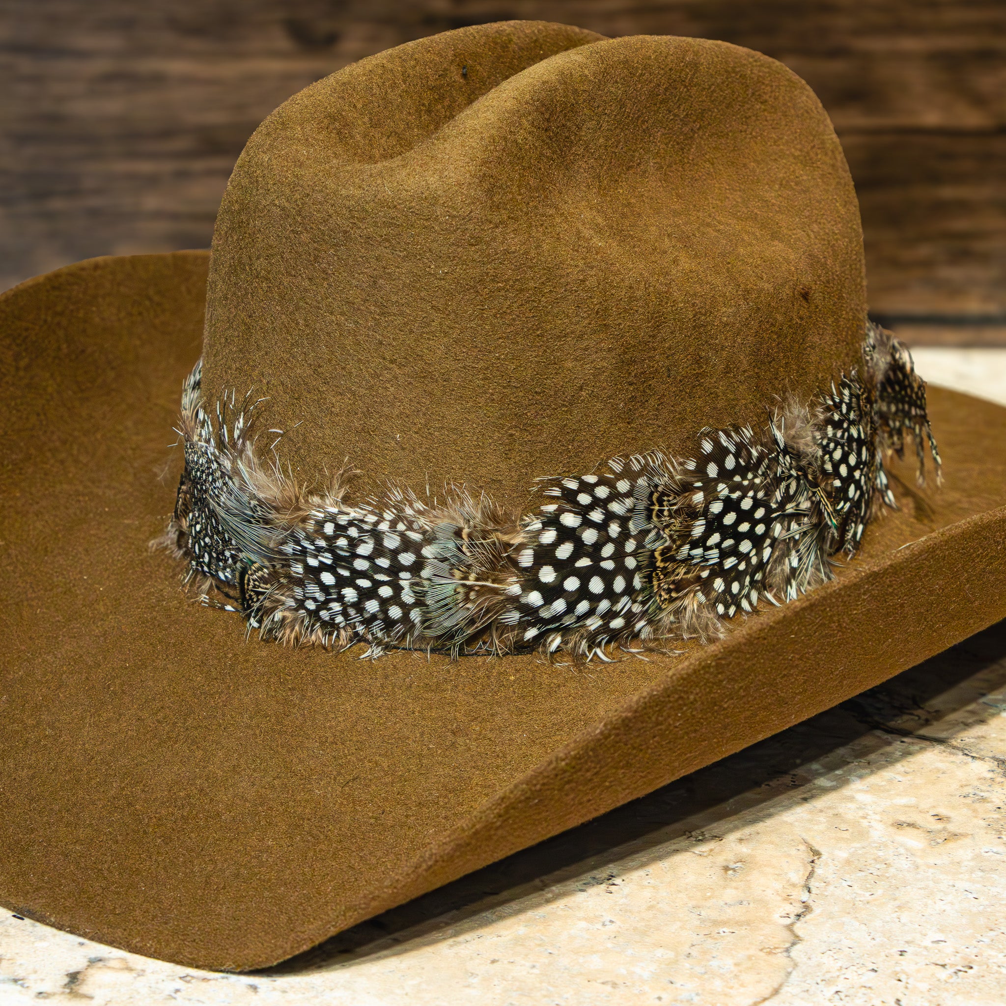 Desert Plume Feather Hat Band