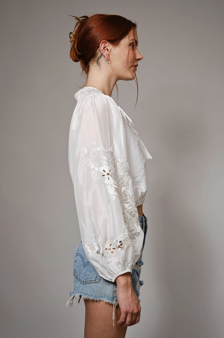Floral Embroidered Cropped Blouse with Sheer Balloon Sleeves