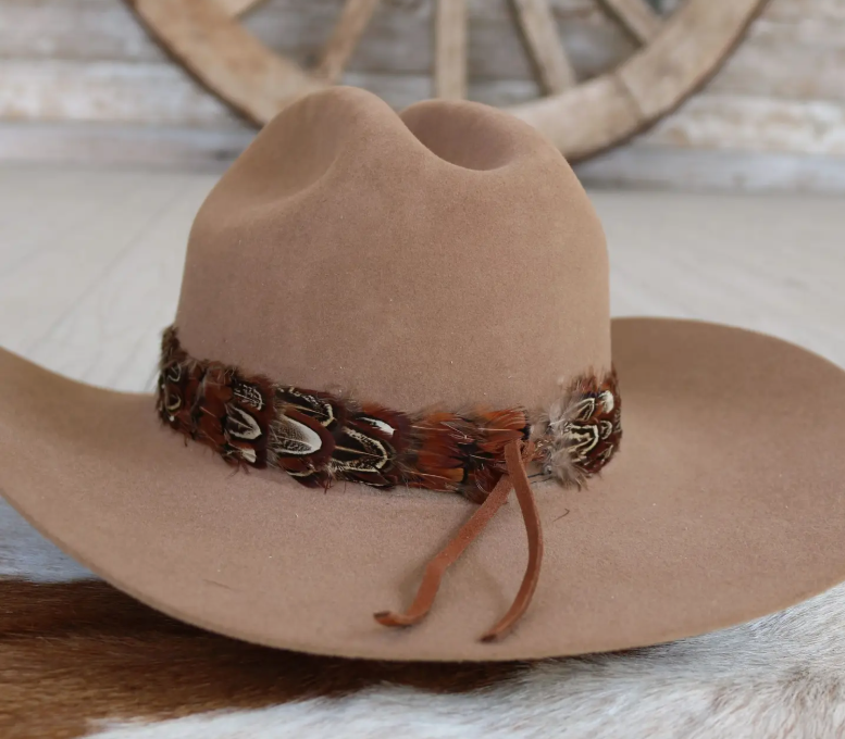 Western Feather Starling Hat Band