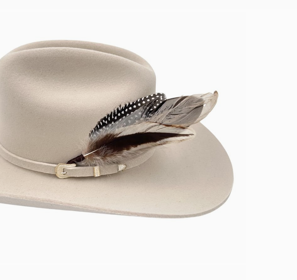 Feather Hat Accent - Cheyenne
