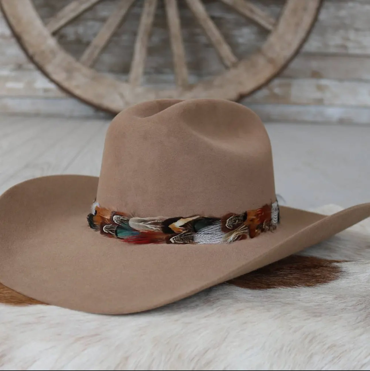 Western Feather Vistoso Hat Band - Small