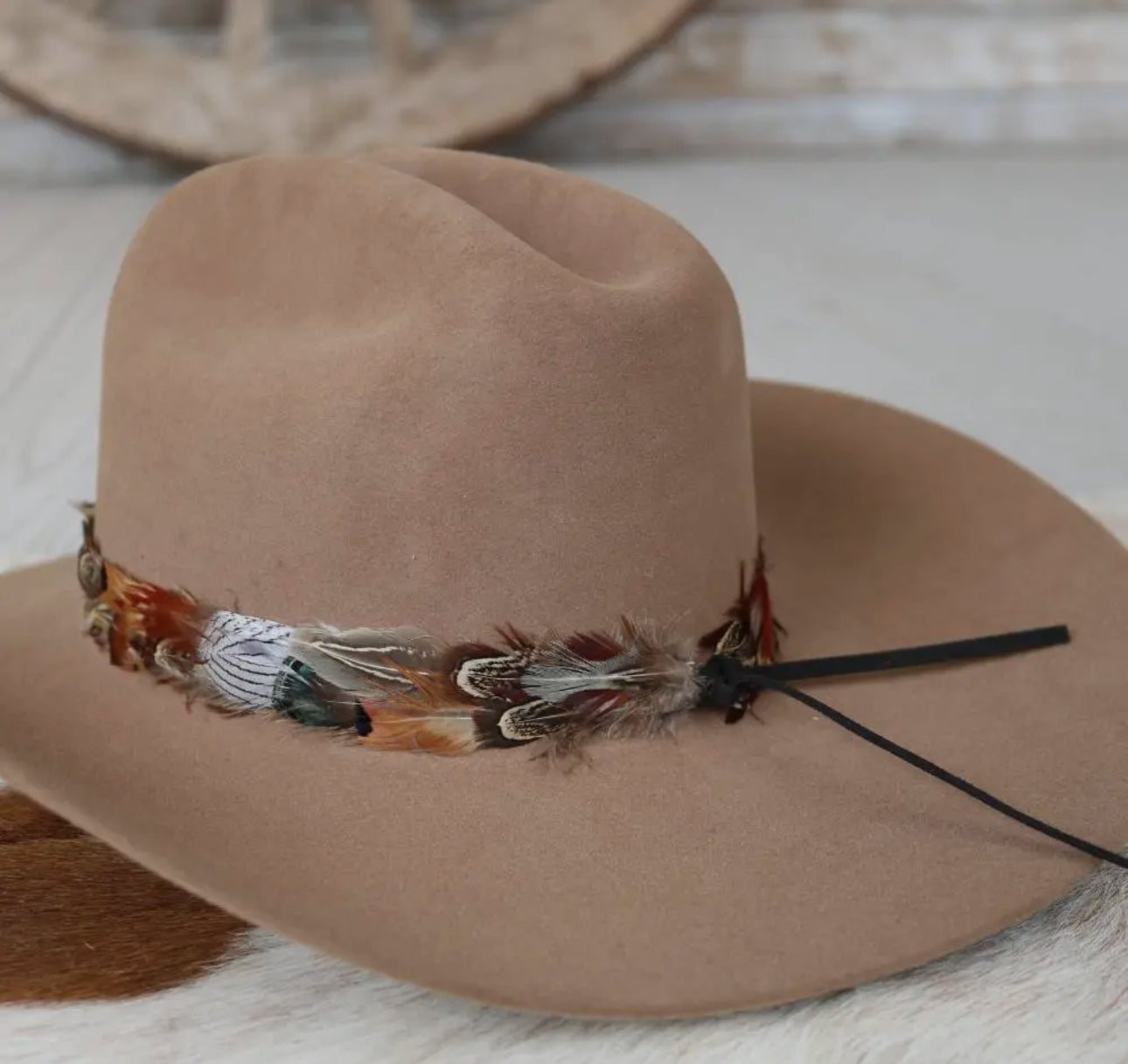 Western Feather Vistoso Hat Band - Small