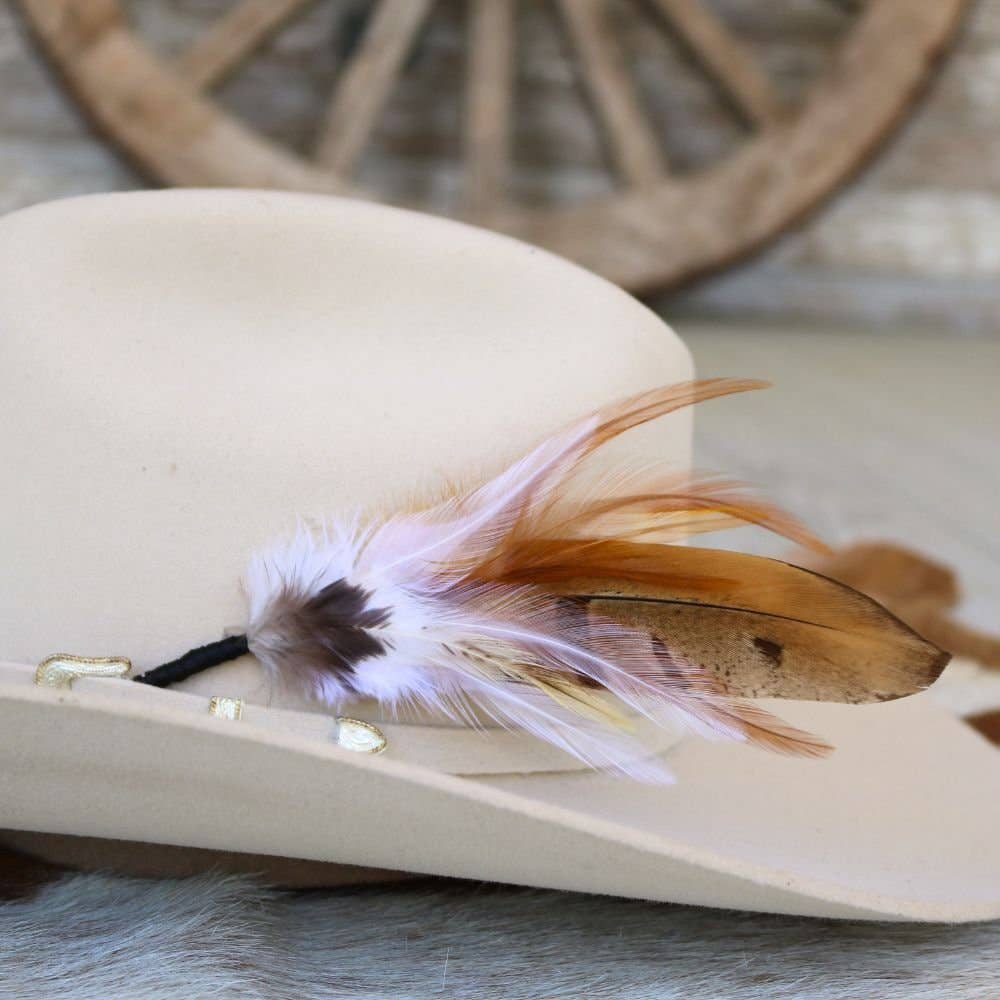 Feather Hat Accent - Phoenix