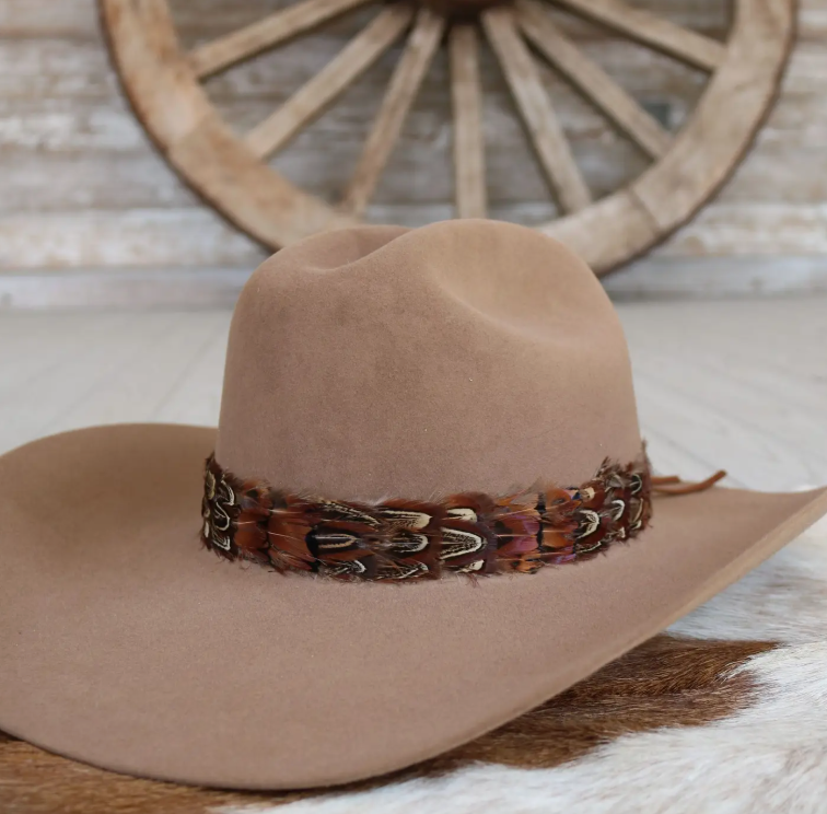Western Feather Starling Hat Band