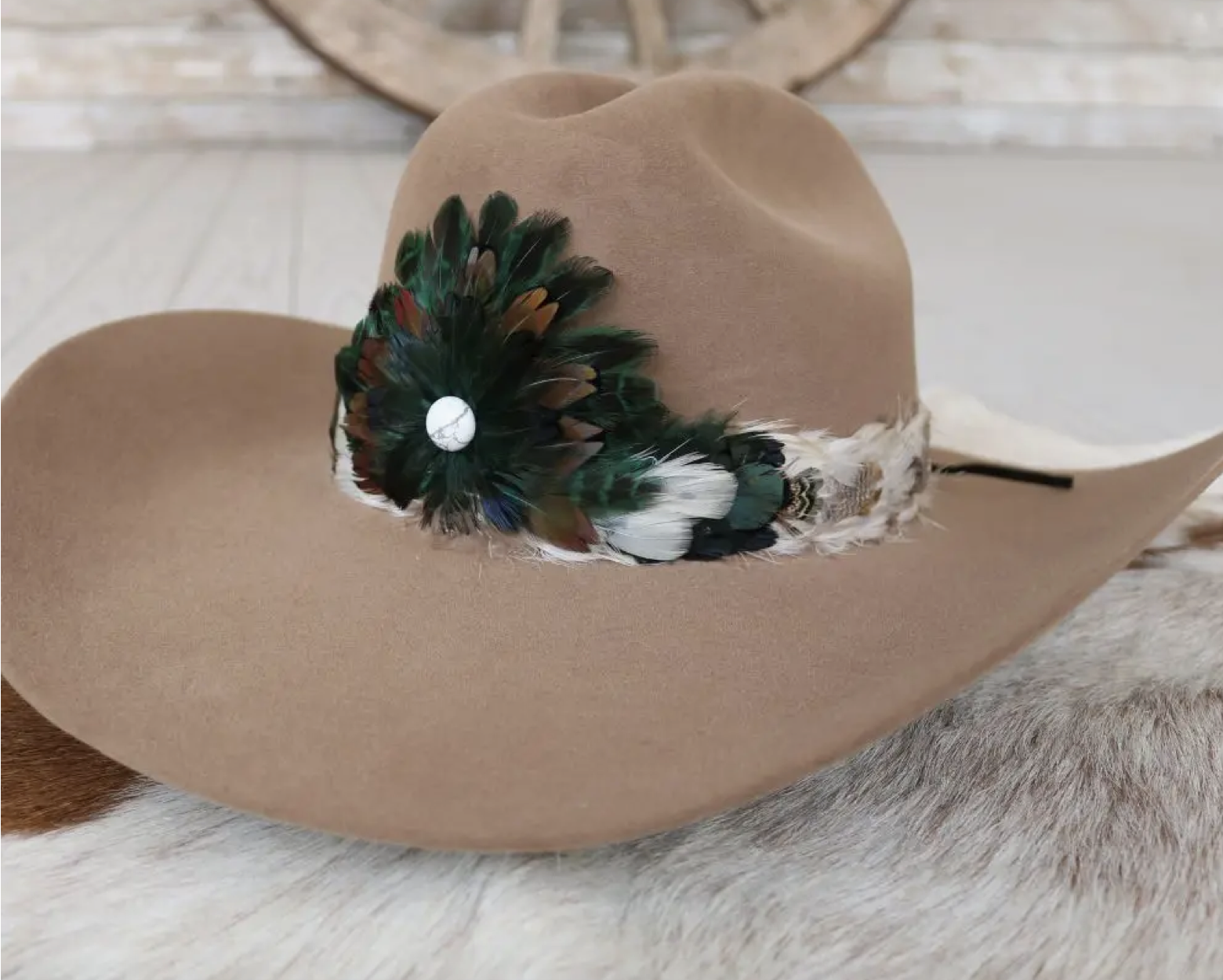 Western Royal Feather Hat Band