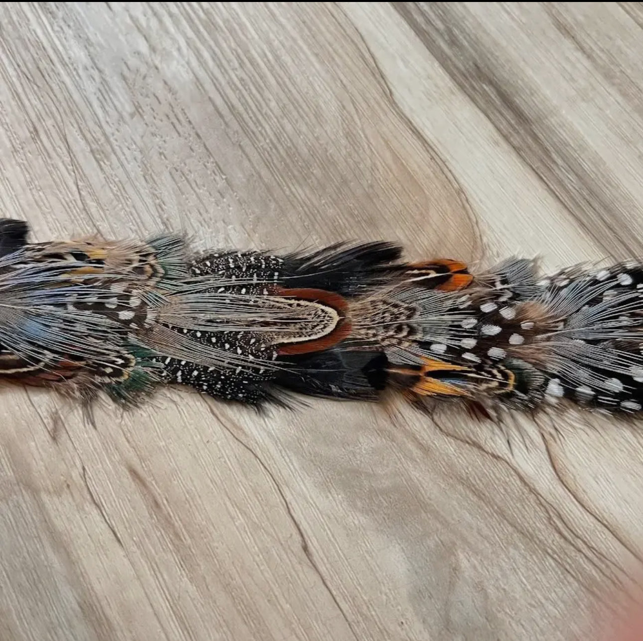 Western Feather Falcon Hat Band