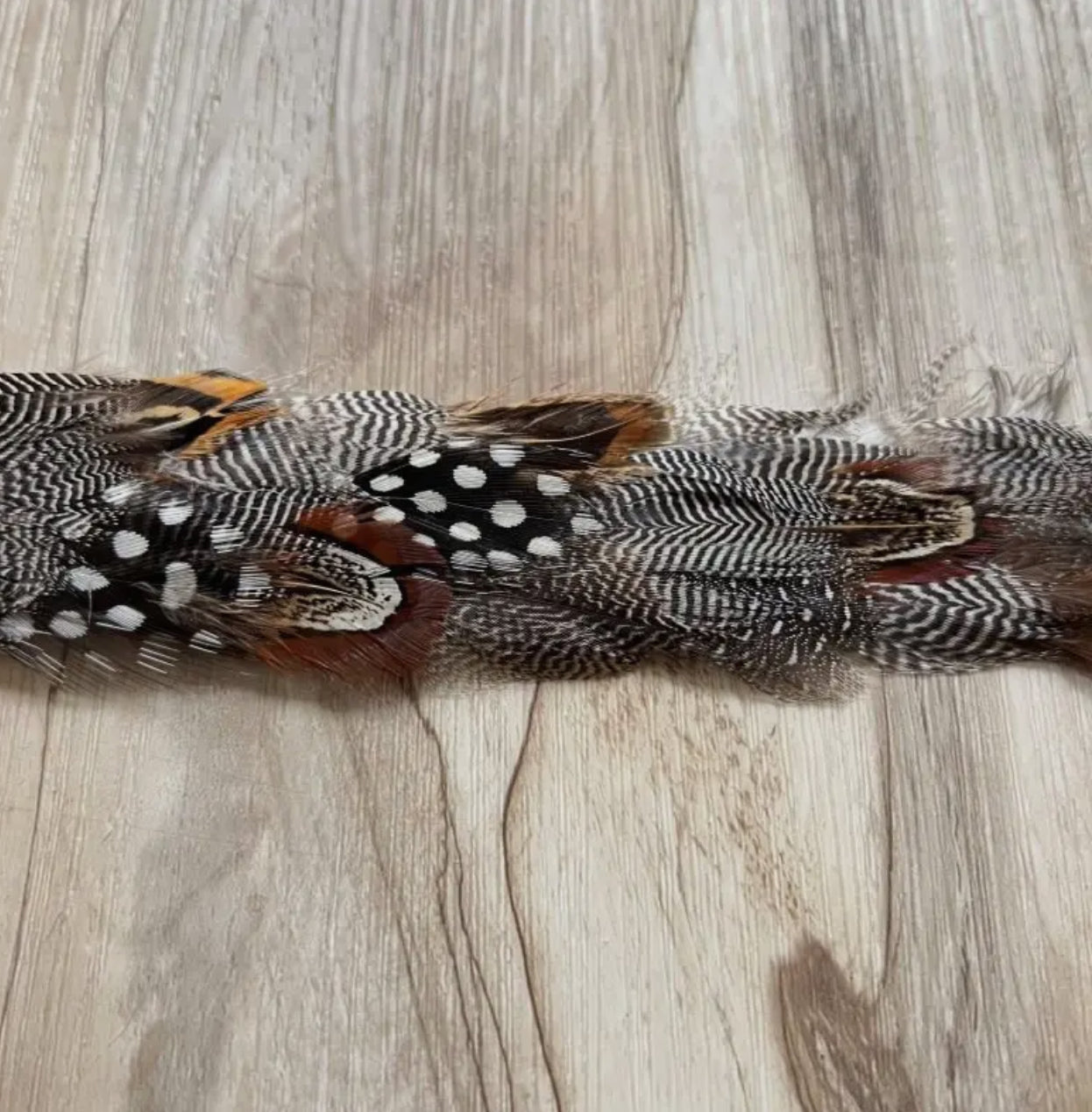 Western Feather Spotted Eagle Hat Band