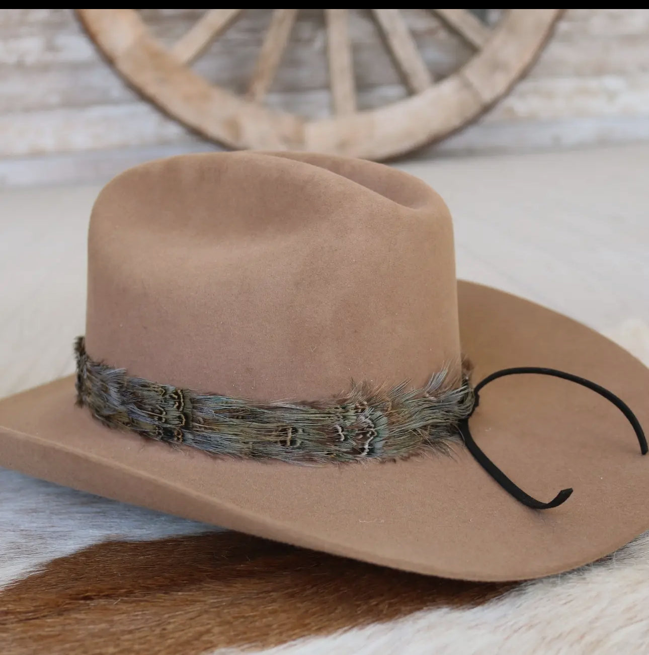 Western Feather Dove Hat Band - Small