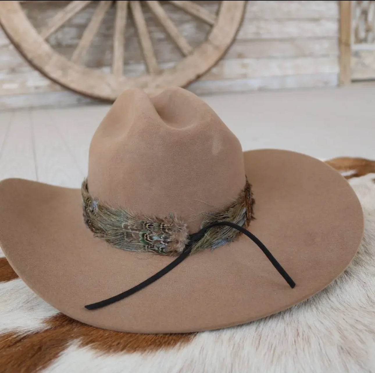 Western Feather Dove Hat Band - Large
